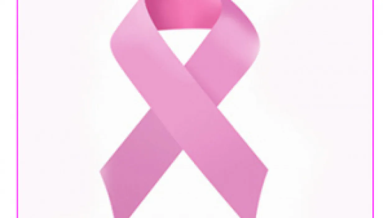 WhatsApp se llena de lazos rosa en apoyo a la lucha contra el cáncer de mama  | Canarias7
