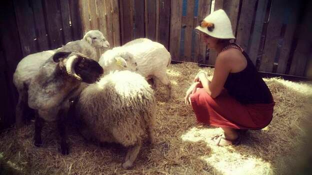 La lana de la oveja canaria: decorativa, térmica y antibacteriana