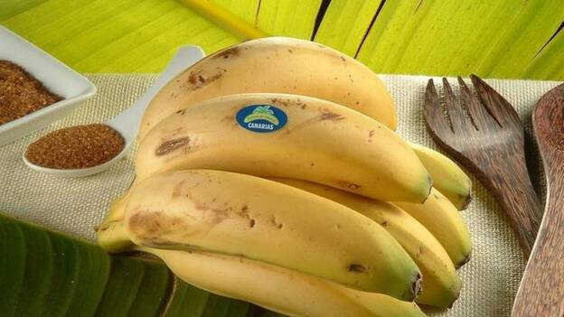 López Aguilar pide UE que mejoren el mecanismo de estabilización para el banano