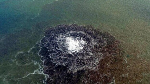 El volcán Tagoro ha seguido fertilizando el mar