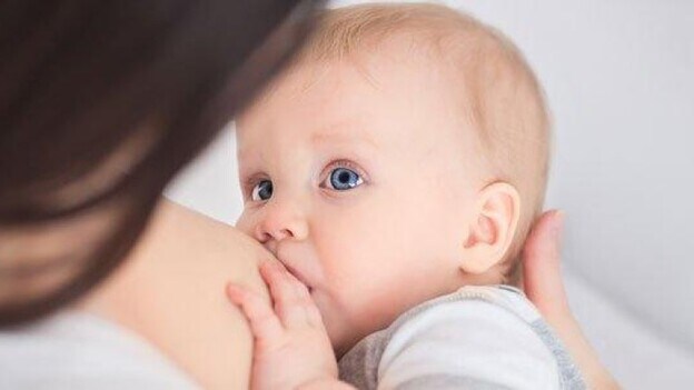 Detectan la presencia de levaduras en leche materna de mujeres sanas
