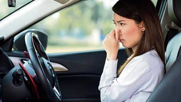 ¿Cómo eliminar los malos olores del coche?