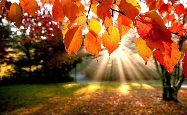 El otoñoqueviene se espera más seco y más caluroso./R. C.