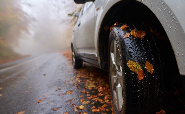 Hojas, animales y viento: los peligros al conducir en otoño