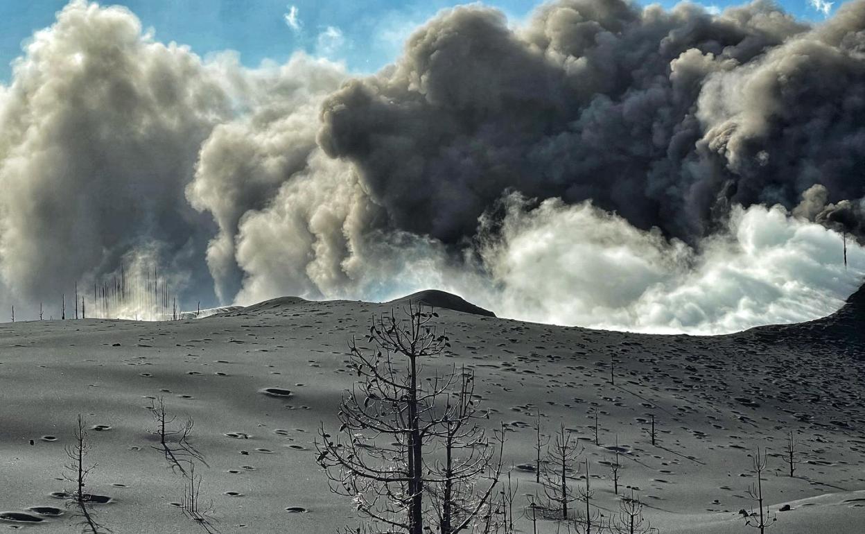 84 días y perdiendo fuerza: la erupción ya es la más larga de la historia  de la isla | Canarias7