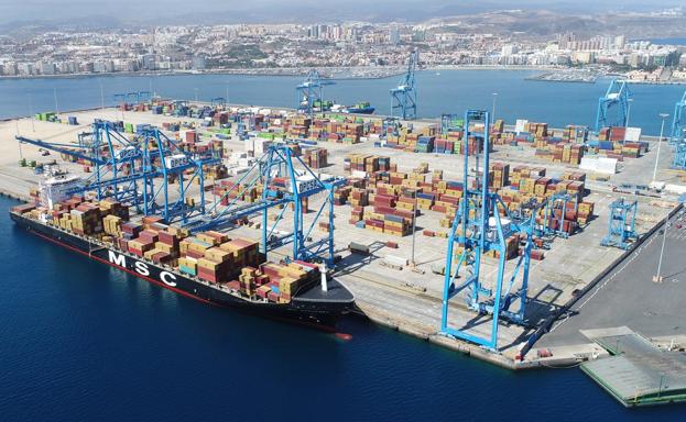 Imagen de la terminal de Opcsa, la única de trasbordo del puerto de Las Palmas. Ayer, la reunión entre las partes a nivel nacional acabó sin acuerdo. 