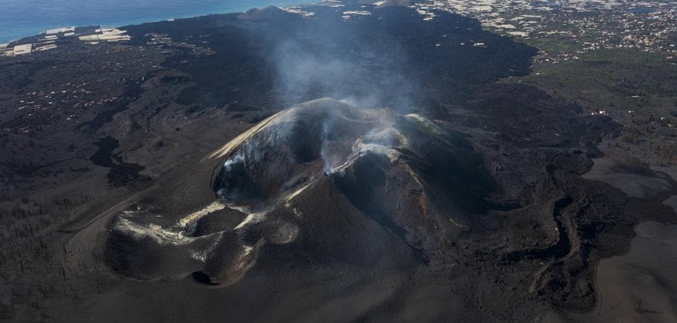 Encuentran cernícalos y palomas que murieron por los gases de la erupción