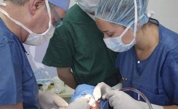 Health summoned 119,368 people for the early diagnosis of colon and rectal cancer