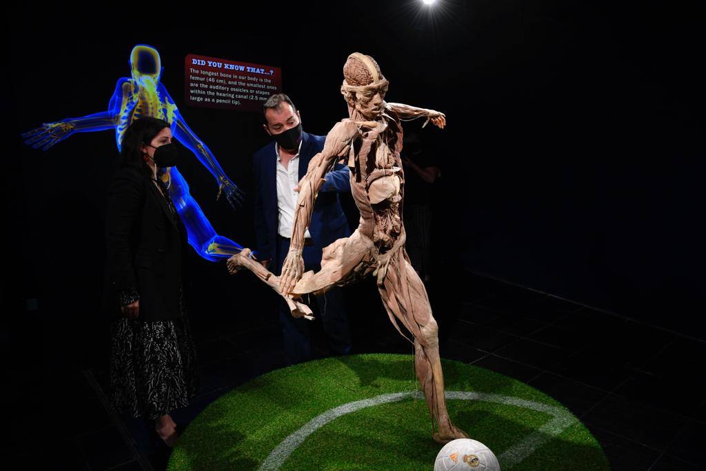 Inaugurada la exposición 'Bodies' en el Museo Elder