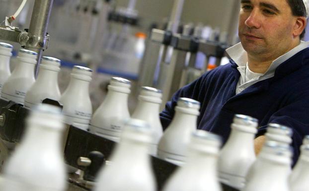 Un empleado en una fábrica de productos lácteos.