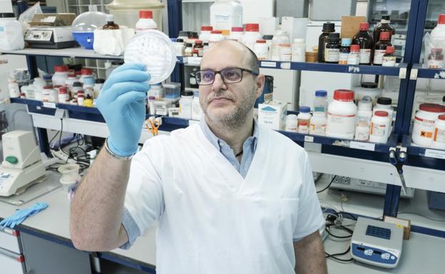 Researcher David Osca, in the laboratory where he works at the ULPGC. 