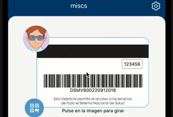 Image of the virtual health card 'miscs'. 