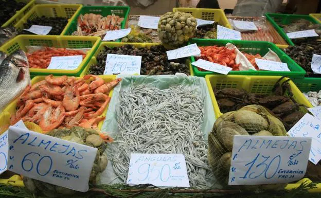 Showcase of a fish market in Bilbao. 