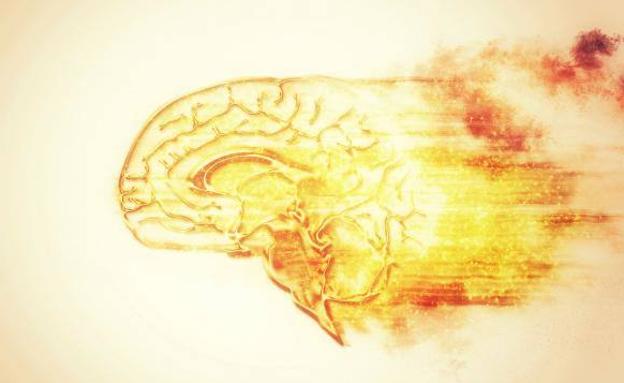El cerebro está más caliente de lo que se pensaba