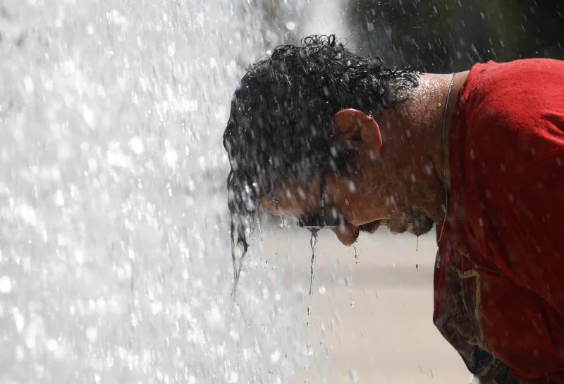 The heat wave has already caused 260 deaths throughout Spain