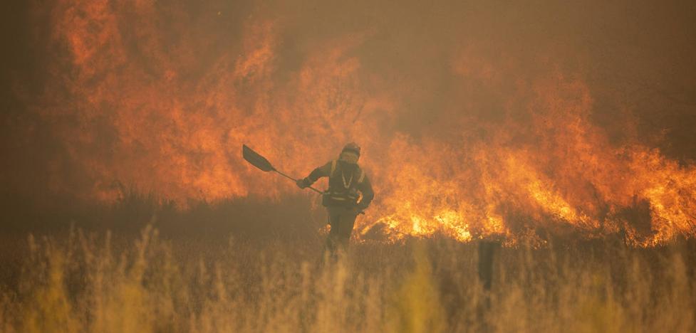 Spain suffers the greatest devastation by forest fires so far this century