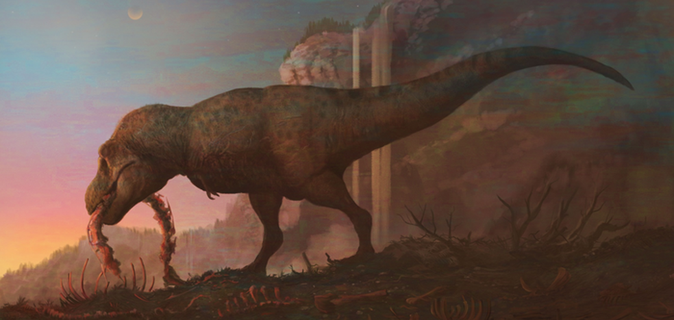 Tyrannosaurus rex suffers from an identity crisis