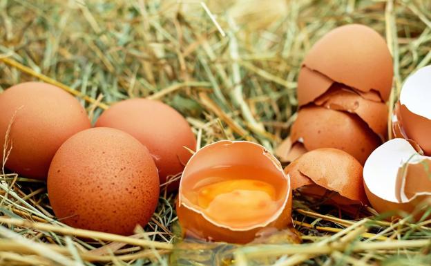 Eggs main cause of Salmonella. 