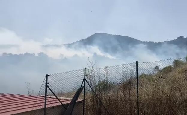 Estabilizado un conato de incendio en La Esperanza, en Tenerife