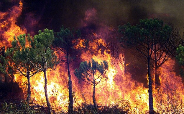 Incendio en Huelva.