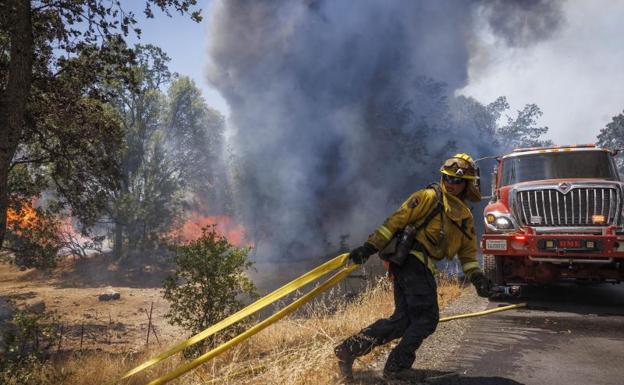 Un bombero trabaja en la extinción del incendio forestal
