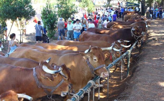 Imagen de archivo de una feria de ganado en La Laguna. 