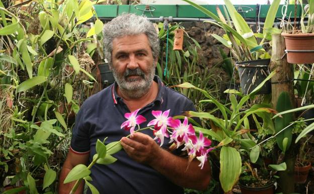 Mauricio Cerpa en uno de sus invernaderos para orquideas. /CARRASCO