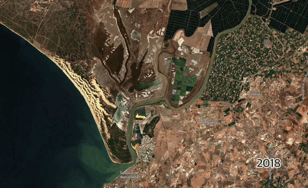 Imagen satelital de Doñana.