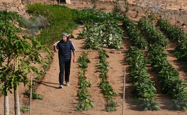 Agricultor profesional de La Oliva, en sus cultivos. /Javier Melián / Acfi Press